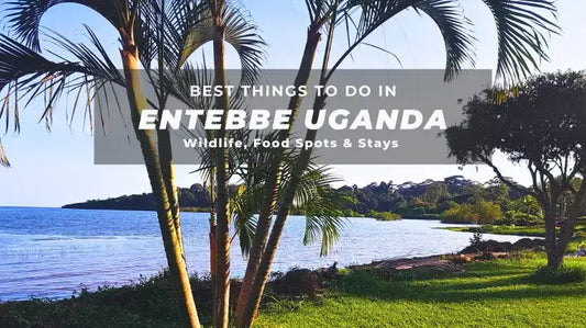 Entebbe Uganda: Things To Do Around Lake Victoria