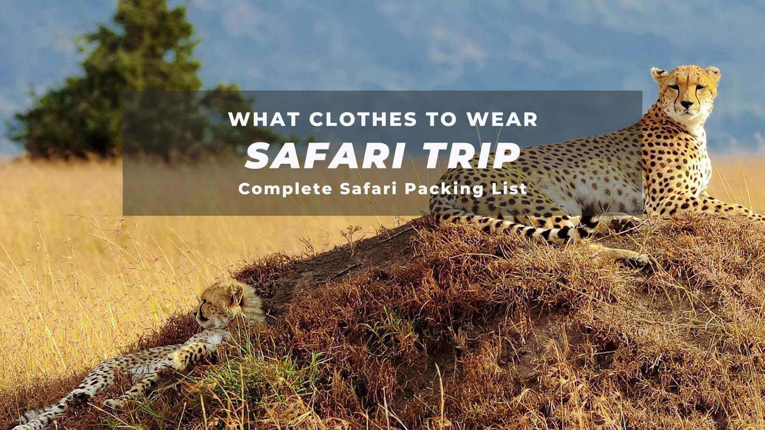 Two cheetahs resting on a grassy mound at a safari, highlighting "What Clothes to Wear on Safari: Safari Packing List."